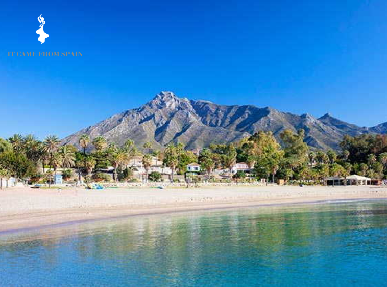 nueva andalucia beaches it came from spain